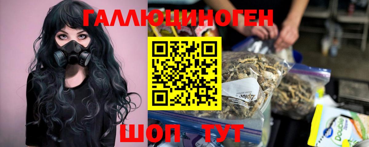 Псилоцибиновые грибы Psilocybine cubensis Костомукша